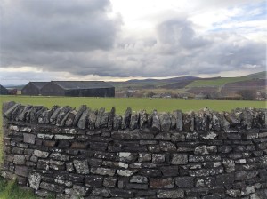 0121b067e04adc43b9e9adc0b49a96a2eea12ec587